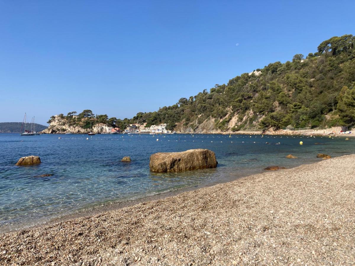 Haut De Villa Avec Terrasse Privative Jardin Et Parking Tout Pres Des Plages Toulon Luaran gambar