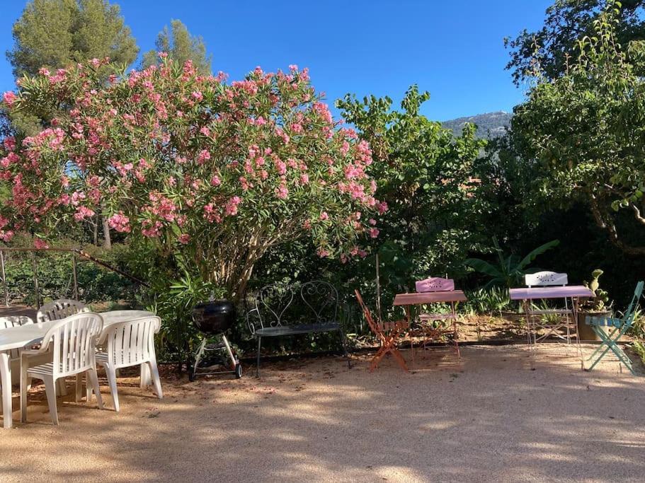 Haut De Villa Avec Terrasse Privative Jardin Et Parking Tout Pres Des Plages Toulon Luaran gambar