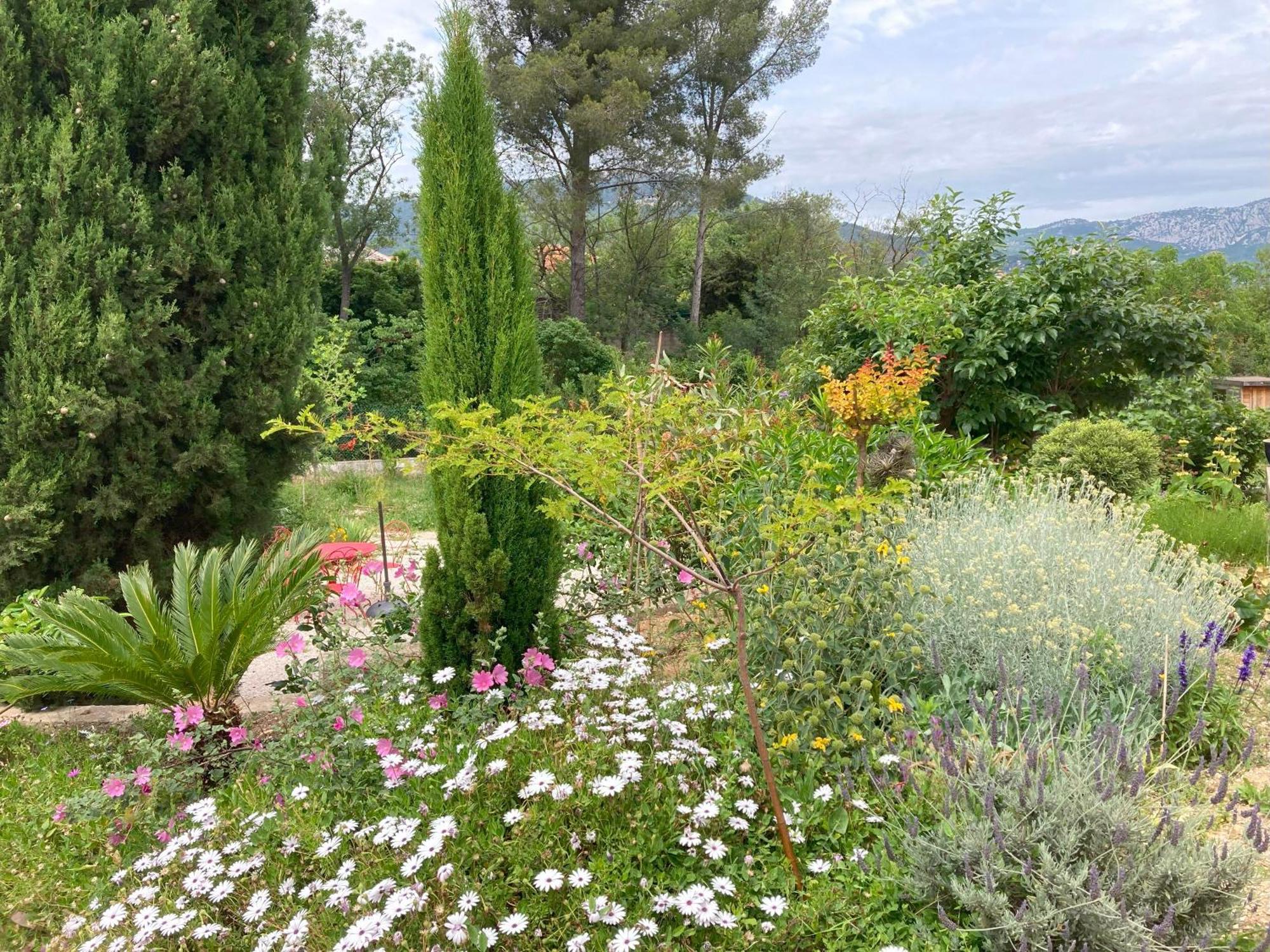Haut De Villa Avec Terrasse Privative Jardin Et Parking Tout Pres Des Plages Toulon Luaran gambar