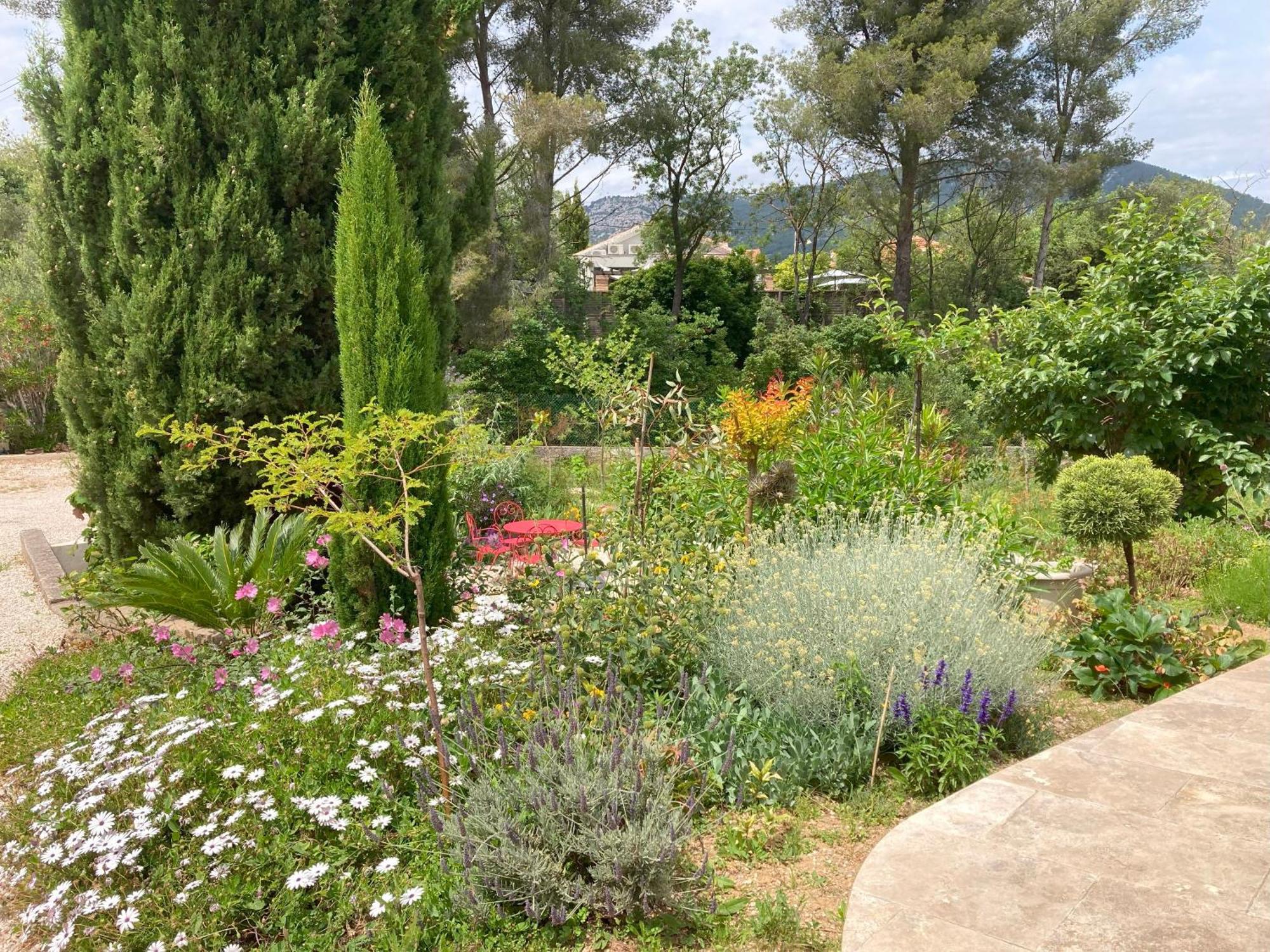 Haut De Villa Avec Terrasse Privative Jardin Et Parking Tout Pres Des Plages Toulon Luaran gambar